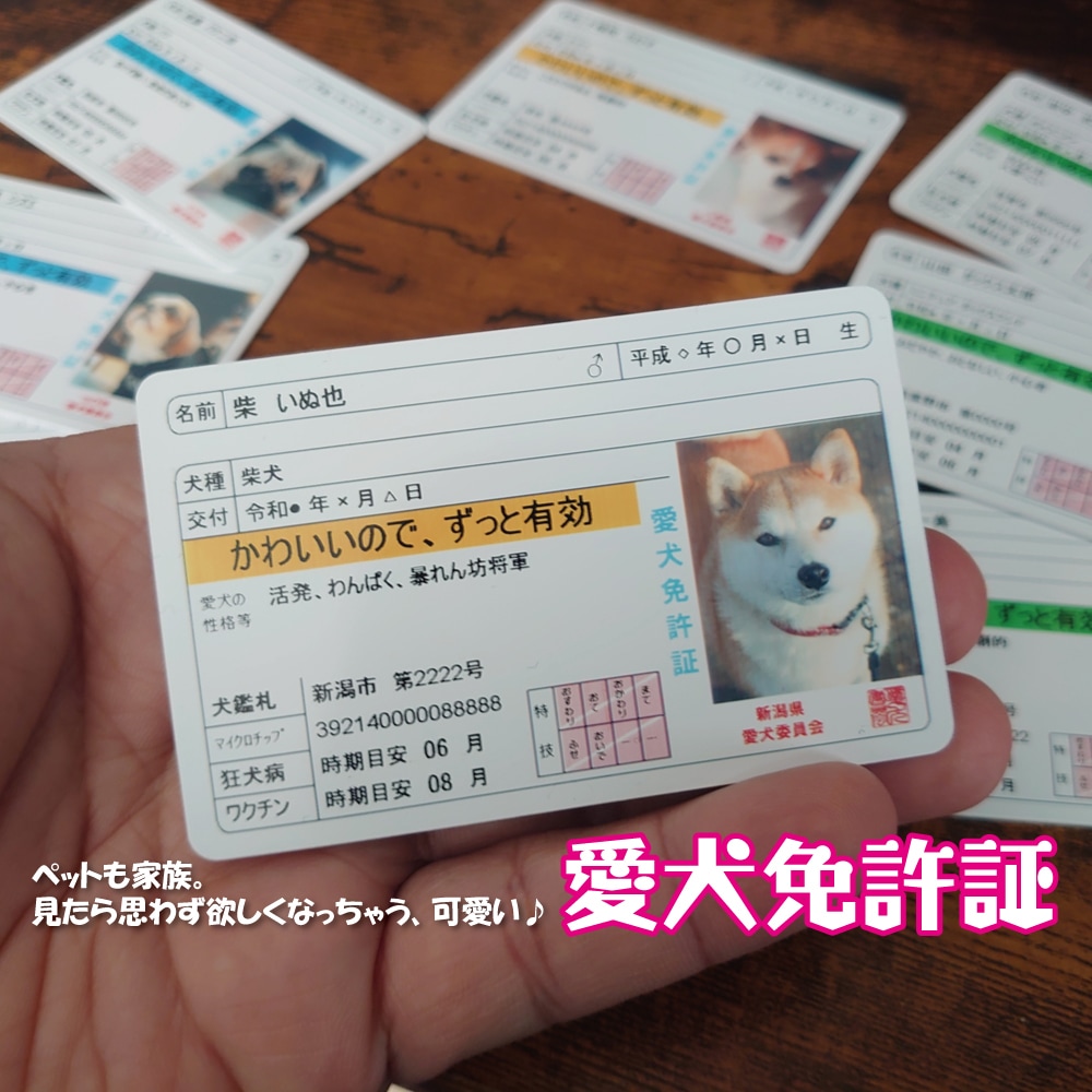 身分証情報を持ち歩く、可愛い愛犬免許証を作ります 本物の免許証とほぼ同サイズなので財布に入れて持ち歩きやすい♪ イメージ1