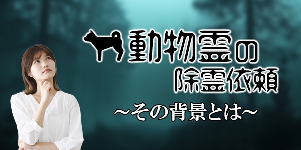 webメディアに使用する画像の制作を致します 用途や媒体問わずお引き受けします！ イメージ2