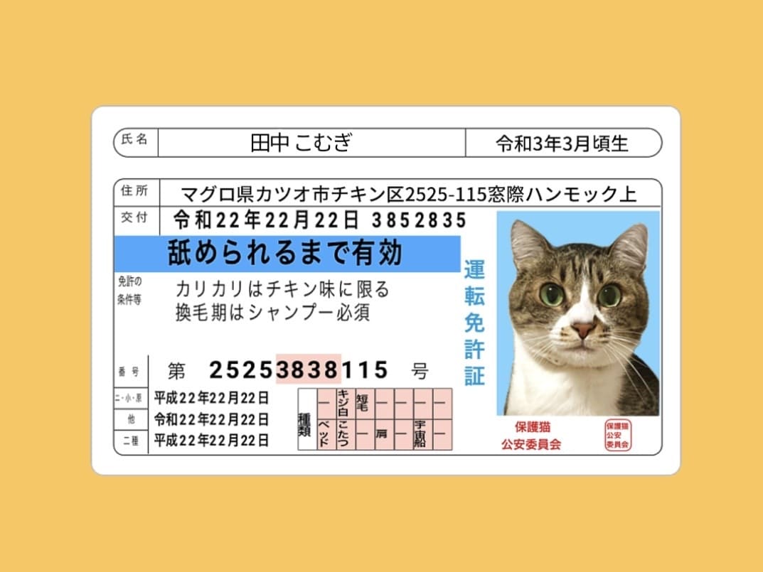 ペット様のお写真からパロディ運転免許証を作ります 細かな項目全てご指定可！ステッカーでお届け・プラカード有 イメージ3