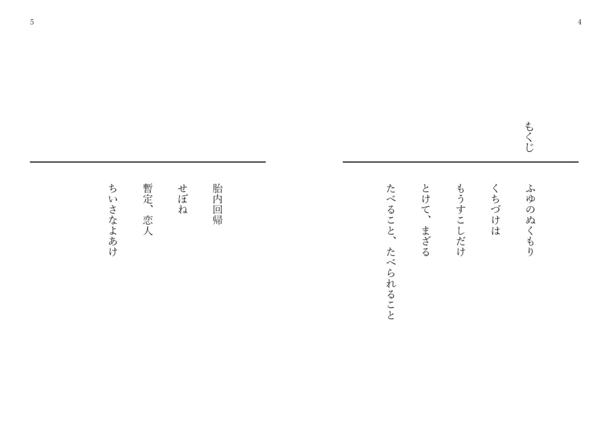 同人誌の装丁デザインをします ご相談に応じた装丁デザインを提供します イメージ7