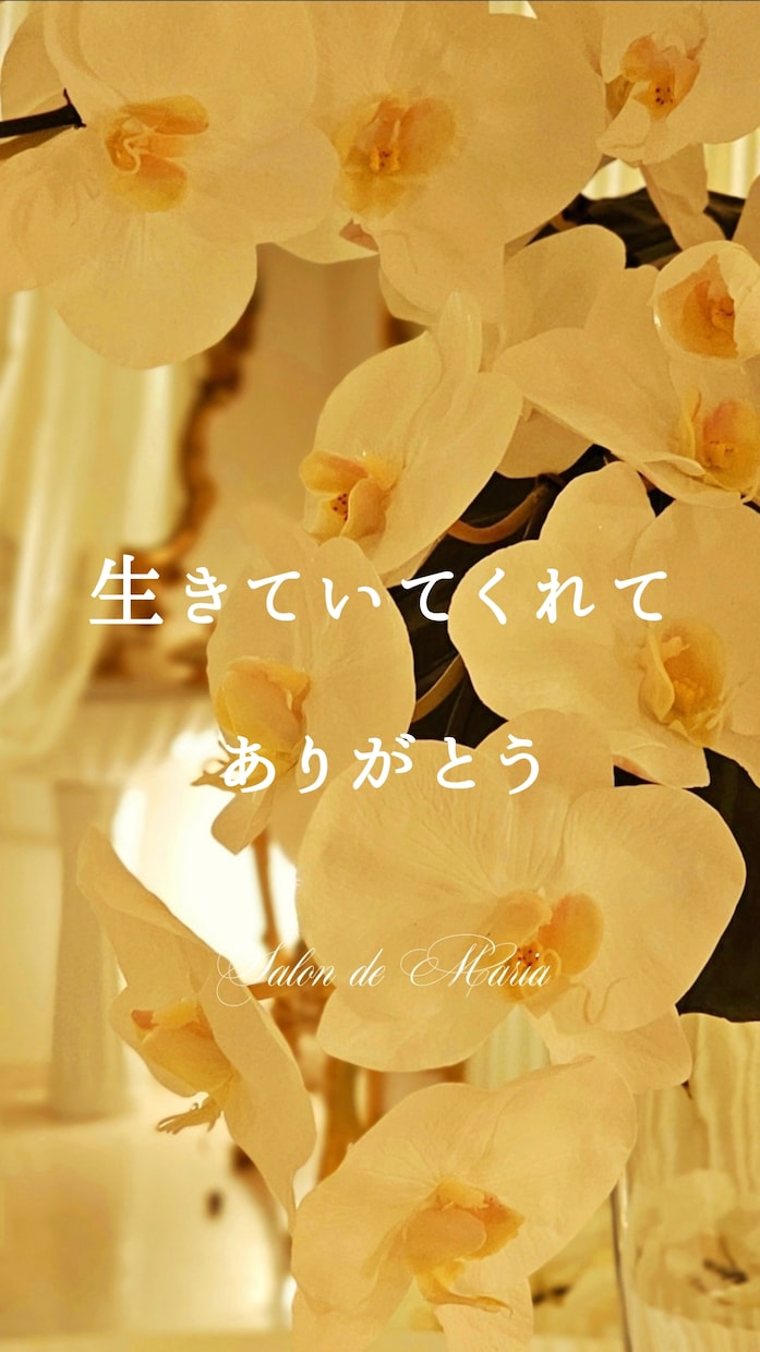 消えてしまいたい｜お辛いあなたに心から寄り添います 【自殺願望】孤独/引きこもり/いじめ/人間不信/カサンドラ イメージ1