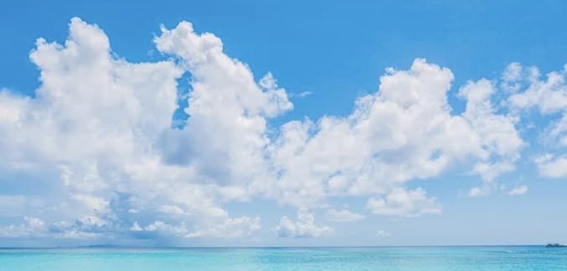 お相手のお気持ちをお話します 霊視にて、お相手のお気持ちをお話いたします イメージ1