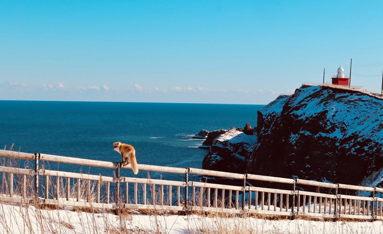 登山×観光！アウトドア系な旅行を計画します 山や自然を楽しみつつ観光も満喫する欲張り旅行をプランニング！ イメージ8