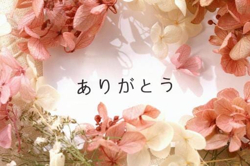 ペット鑑定〜絆〜大切な家族の想いを読み解きます あの子の気持ち・本当に伝えたいことがわかる、本格まごころ占い イメージ7