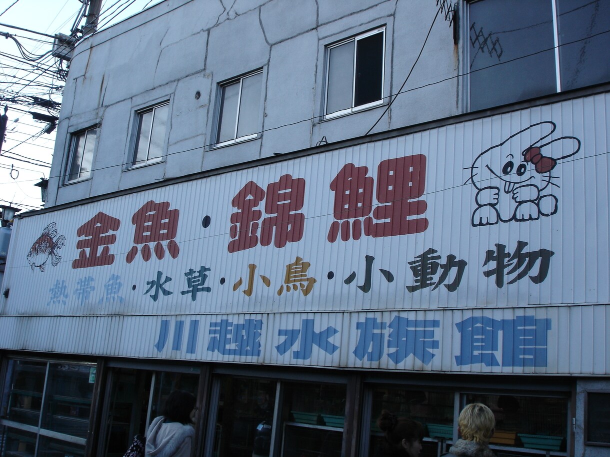 テーマが「昭和レトロ」の監修・図録執筆・校閲します ネット検索では分からない部分まで。文献調査させていただきます イメージ4