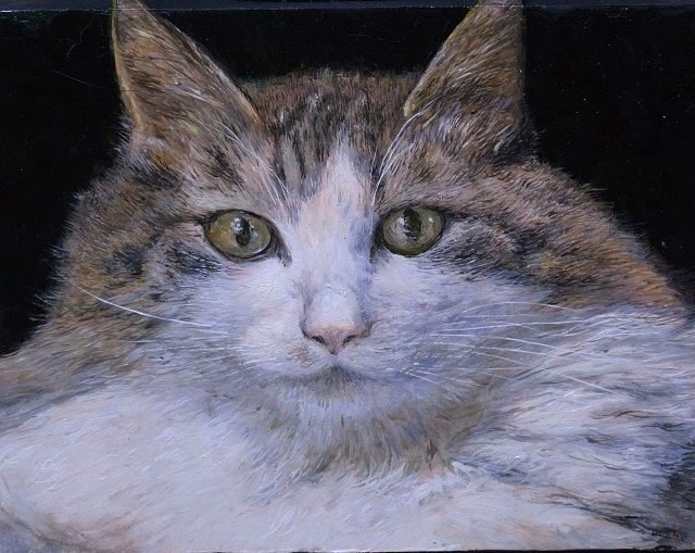主に猫を油絵で写実的に描きます 愛猫がずっと貴方と共にあります。 イメージ2
