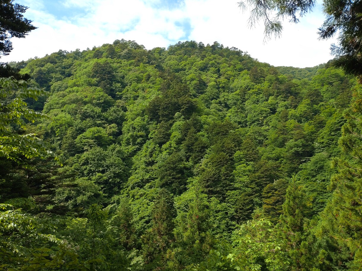 おはなしを聴いて、あなたの素晴らしさを伝えます ナチュラルなコミュニケーションで、爽やかに癒やします！ イメージ10