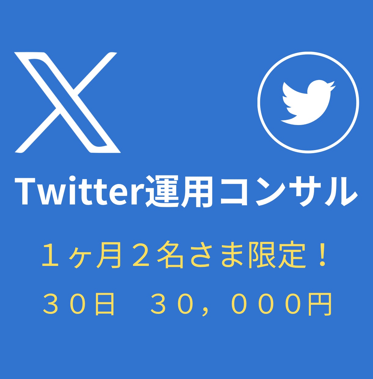 Twitter運用を30日間コンサルします 運用歴2年、フォロワー6800人の私が個別サポートします！ イメージ1