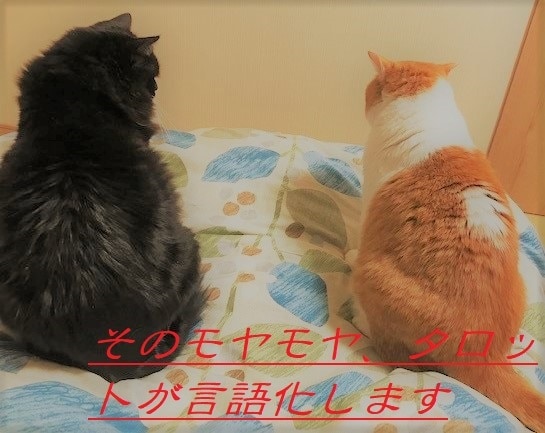 そのモヤモヤ、タロットが言語化します あの人は私の事をどう思っているの？ イメージ2