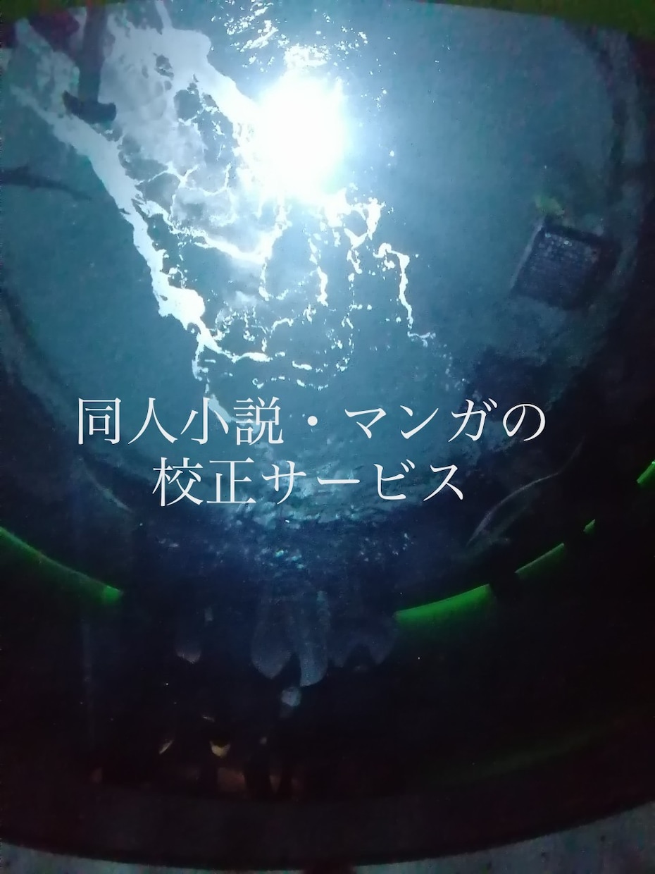マンガ・小説・その他の校正・編集承ります 一次・二次創作（一般・BL・TL他）ジャンルご相談ください！ イメージ1