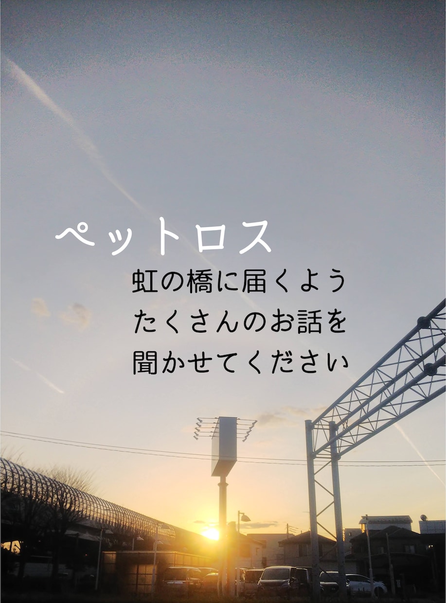 ペットロスでお辛いそのお心をそっと受け止めます 虹の橋の愛しいペットさんの思い出をたくさんお聞かせください イメージ1