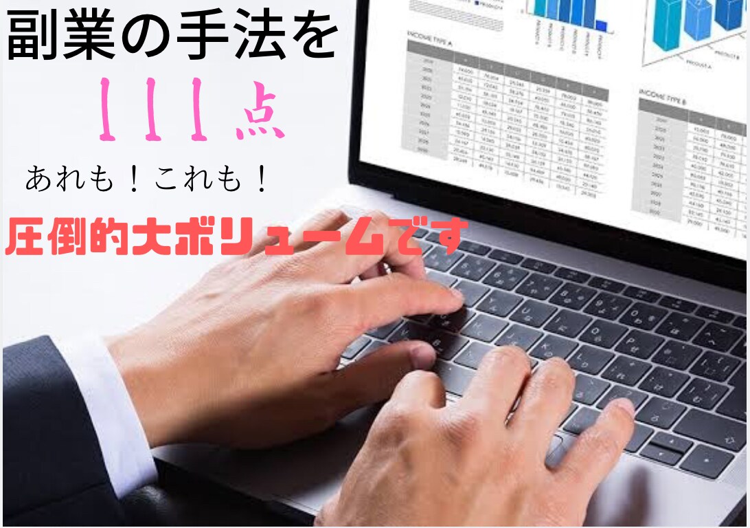 111種類の副業の手法教えます 全て再版OK！大量副業セット！ イメージ3