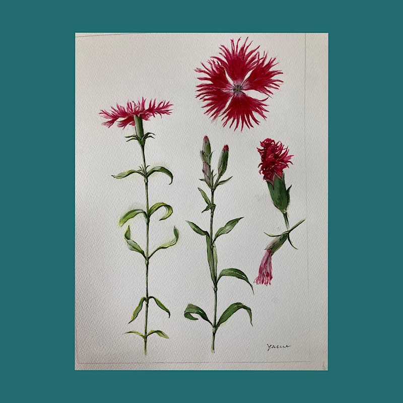 ペット・お花・大切な人を油彩や水彩で描きます ＊忘れたくない・大好きな想いを形に＊ イメージ2