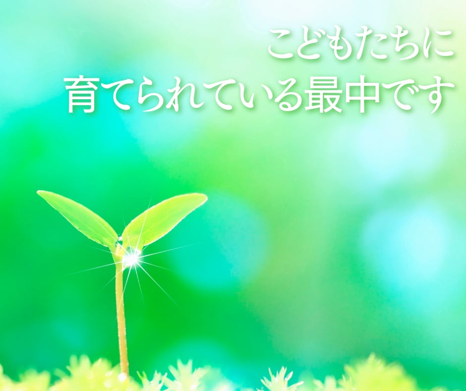 子育ての悩みや不安❗現役支援員が真心込めて伺います 教育現場で働く私が子育てや発達、園や学校のお話お聴きします イメージ7