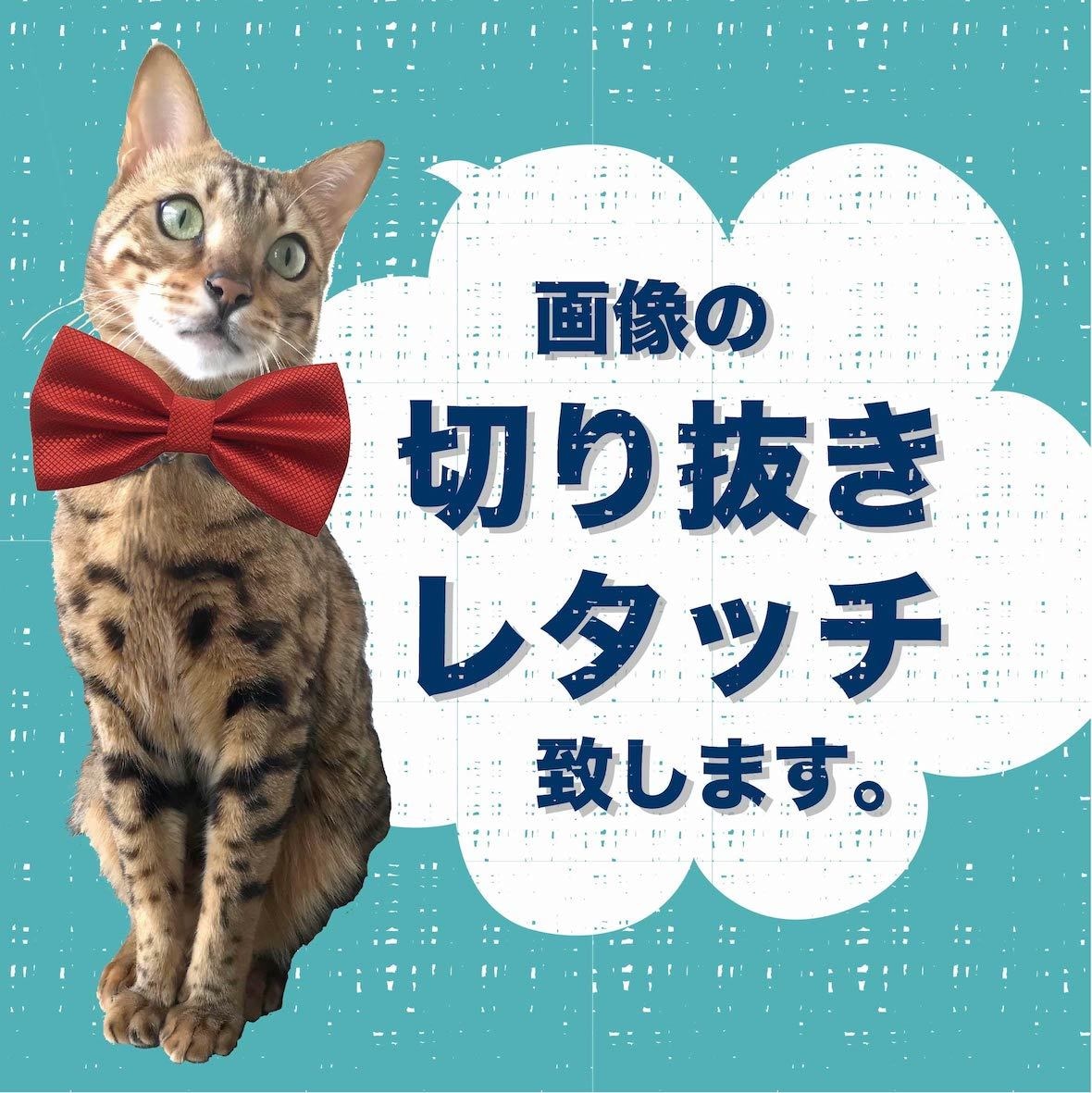 画像の切り抜き・レタッチ・アレンジ致します ECサイト登録画像などご相談ください イメージ1