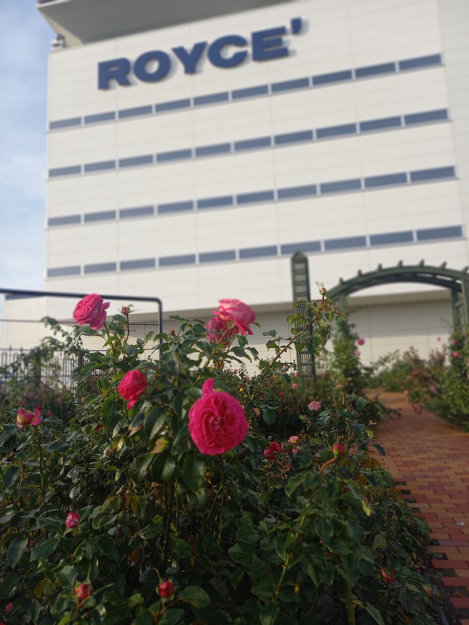 北海道の旅は、私がサポートします 生まれも育ちも北海道の私が、元旅行会社の勤務経験を活かして。 イメージ5