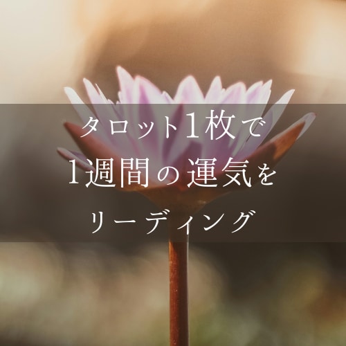 タロット1枚で週間の運気をリーディングします 【さくっとタロット占いで１週間のヒントになるメッセージ】 イメージ1