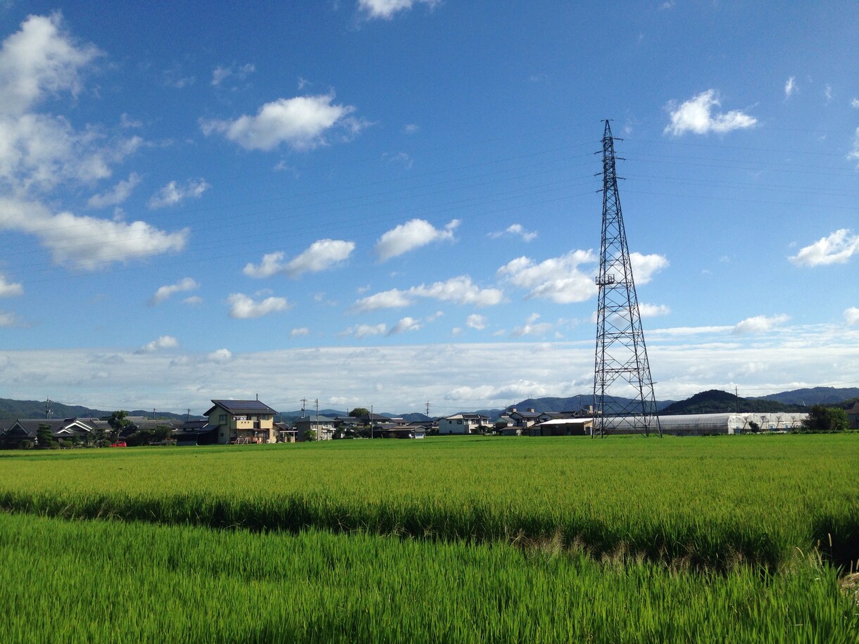 ここだけ限りになっちゃいますが友達が欲しい方、このやりとりで2人で盛り上がっちゃいましょ（＾ω＾） イメージ1