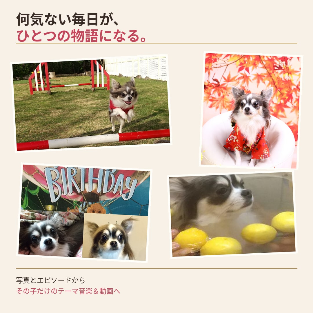 うちの子だけのオリジナルテーマ音楽＆動画を作ります 大切な思い出を、世界にひとつの音楽と映像にします イメージ2