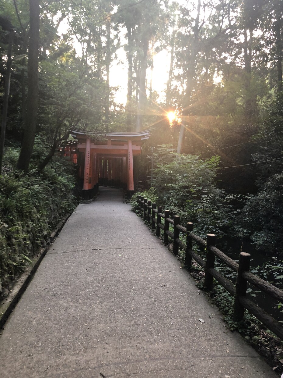 生きる希望を見失っている人を救います なんで生きているんだろう生きる意味とはなどの疑問を解決します イメージ1