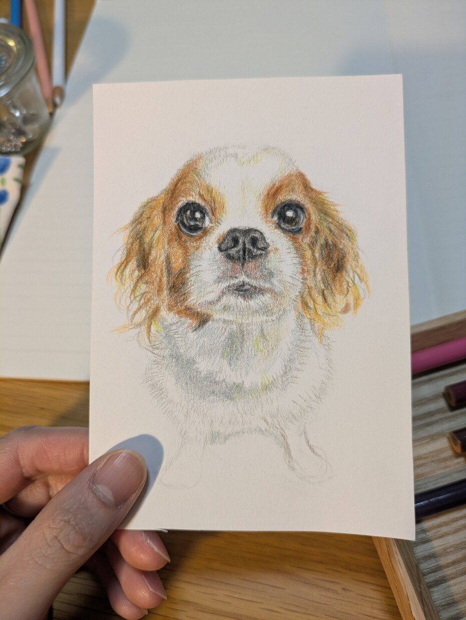 温もり色鉛筆のペット似顔絵、描きます 写真以上の"ぬくもり"を色鉛筆でふんわりリアルに イメージ3