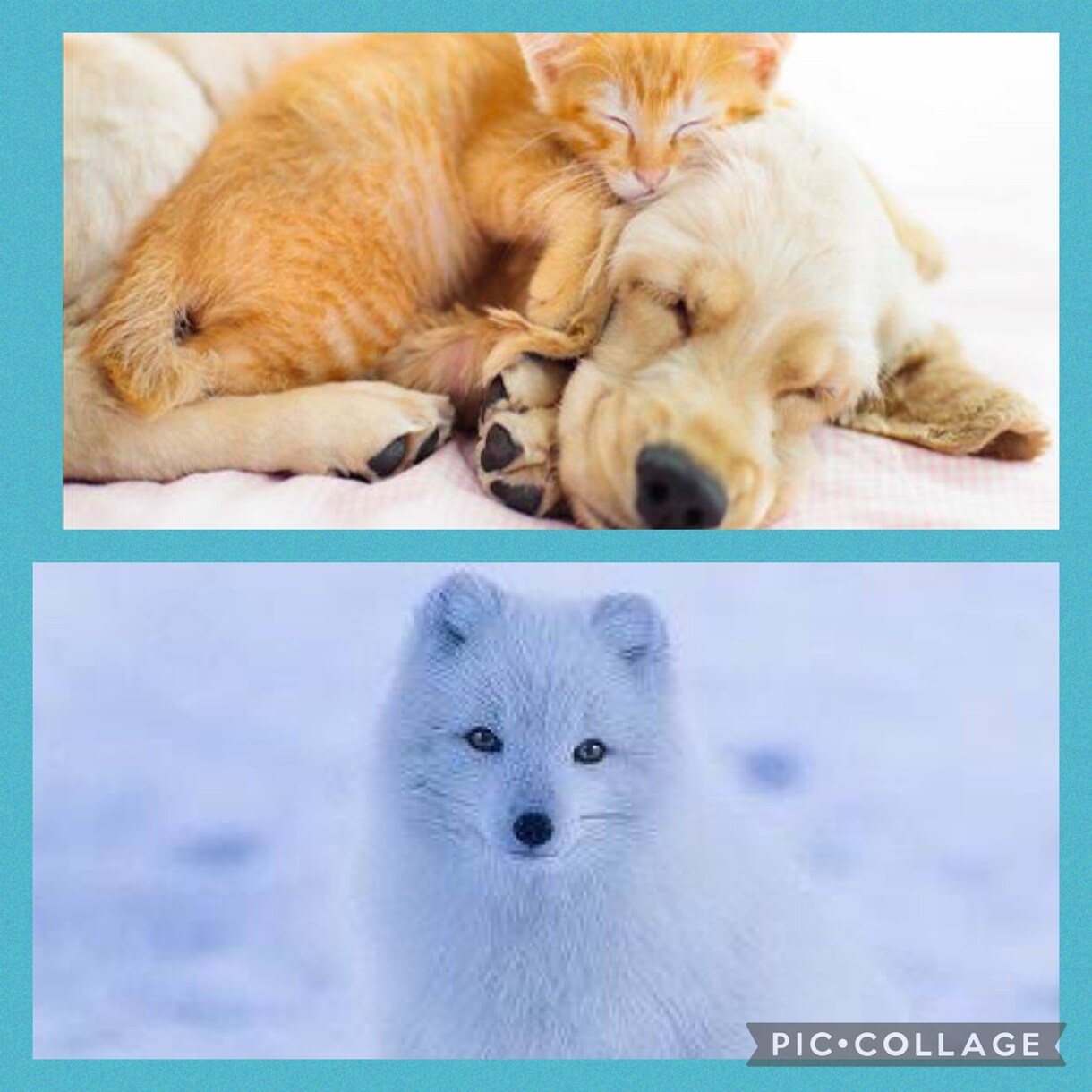 ありのままのあなたでいい✨全力で相談聞きます 周りに気を配りしすぎる僕だからあなたの辛さ悩み共感できます！ イメージ3