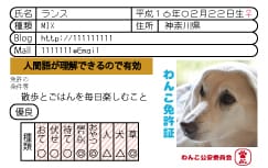 うちの子カードデザイン制作します うちの子の自己紹介になにかカードが欲しい方にオススメ イメージ8