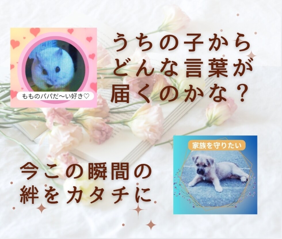 ペットちゃんからの一言メッセージをお届けします あなたとペットちゃんをつなぐ、一言メッセージ入り画像です。 イメージ2