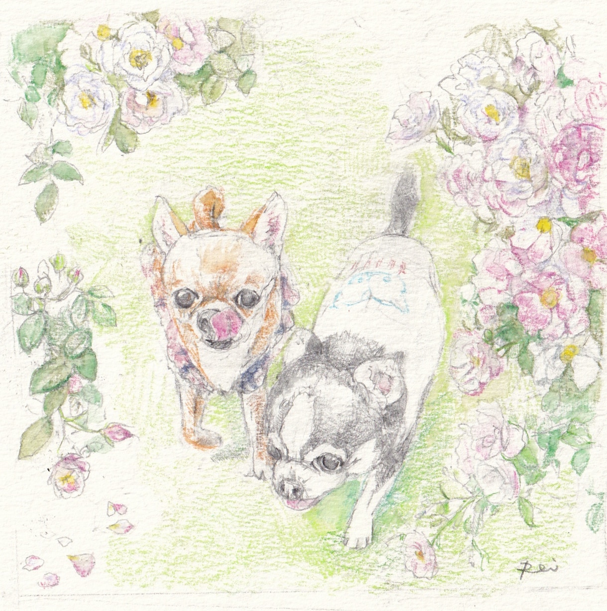 絵本のような世界観とタッチでペットイラスト描きます 水彩色鉛筆の優しいタッチでペットの魅力を引き出し描きます。 イメージ2