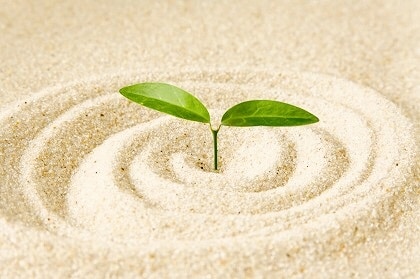 狭い世界から次のステージに行くサポートをいたします その枠や足かせをリーディング（透視）し、クリアリングします。 イメージ1