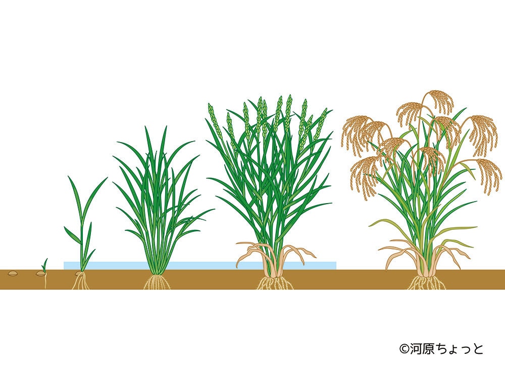 図版を制作いたします ★★★カチッとしたわかりやすい図版を制作します★★★ イメージ2