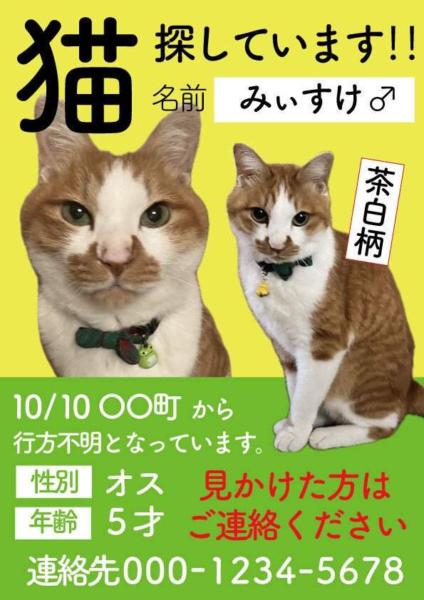迷い猫・迷い犬の捜索の画像を作ります 迷い猫・迷い犬の画像を作ります！チラシ形式のデータもお渡し可 イメージ1