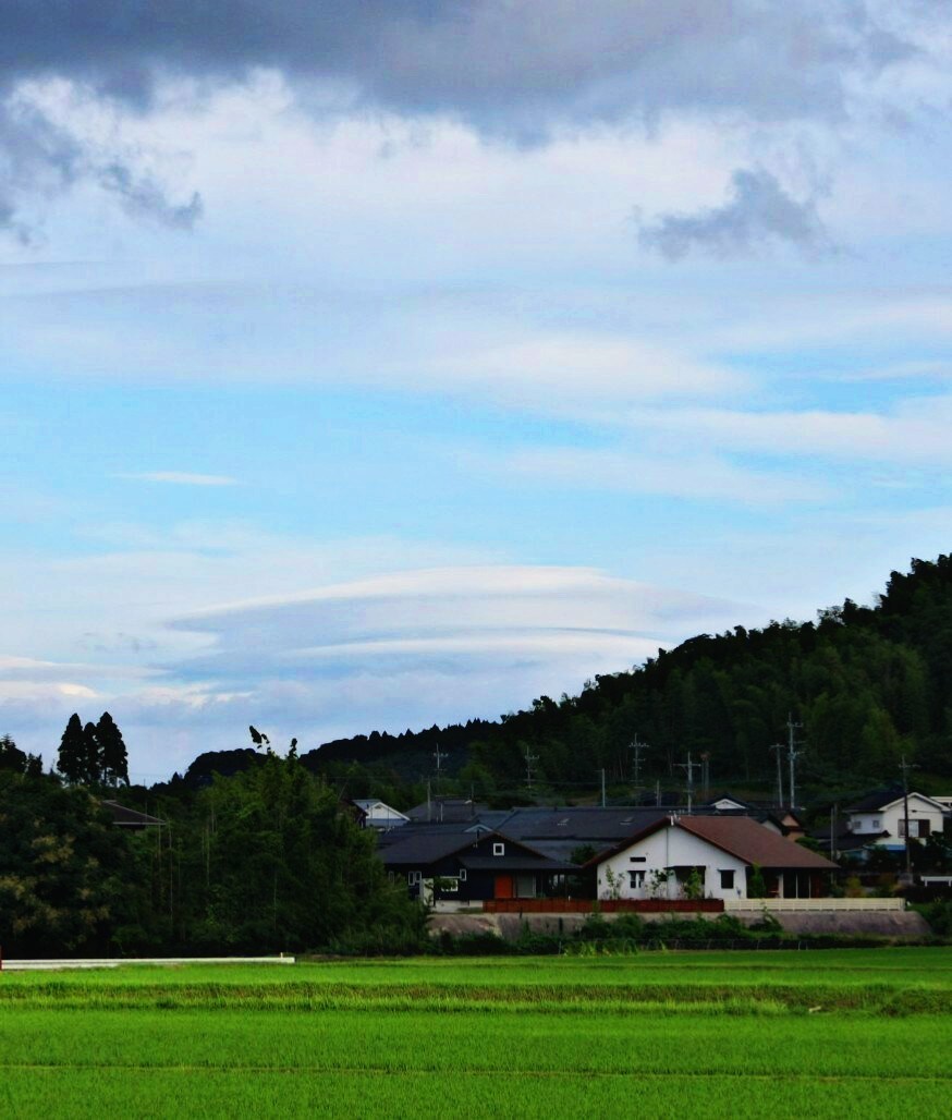 季節に応じた写真提供いたします 日本の四季や文化、風景ををお届けいたします。 イメージ3