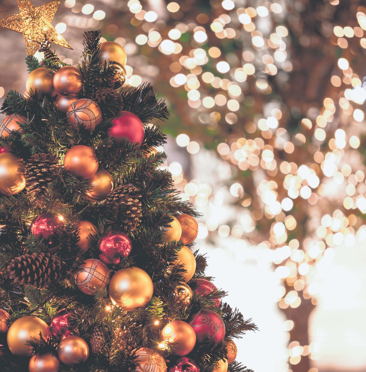 12月23日まで！X’mas限定鑑定行います ※１通鑑定※　あの人の真実の想いに触れる時です。 イメージ4