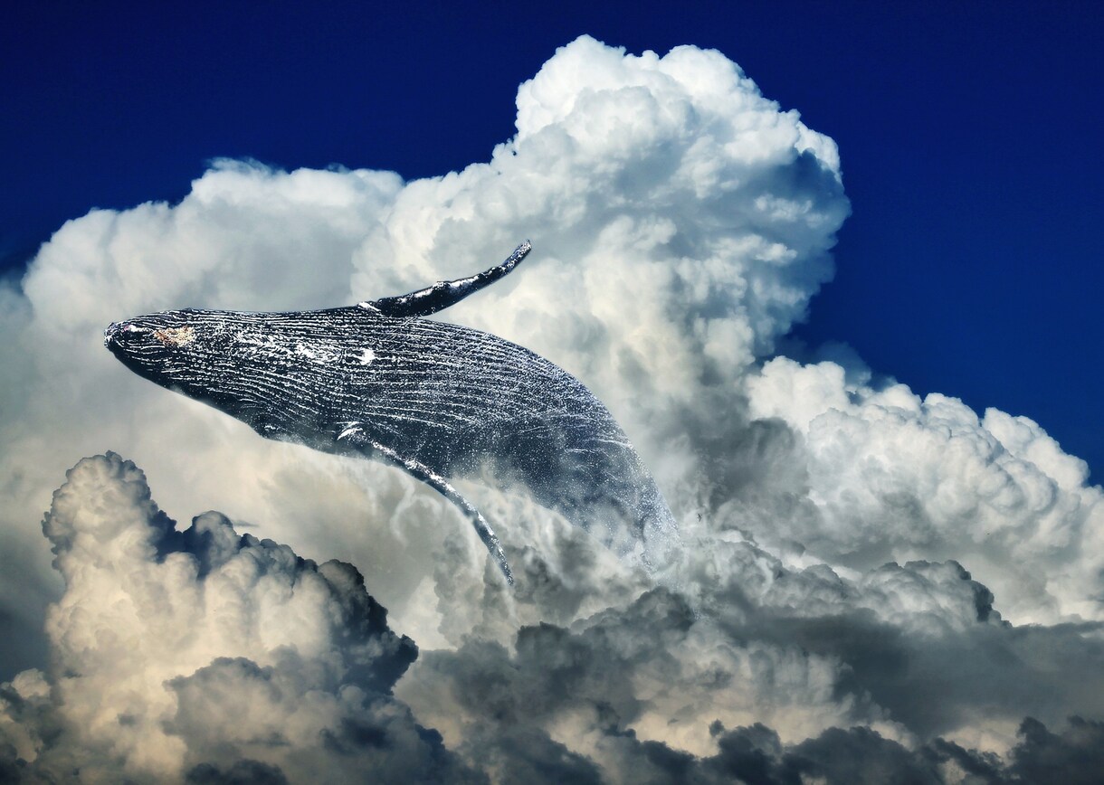 Photoshopで写真・画像の加工承ります 写真の切り抜き・合成・補正・レタッチが必要な方に イメージ1