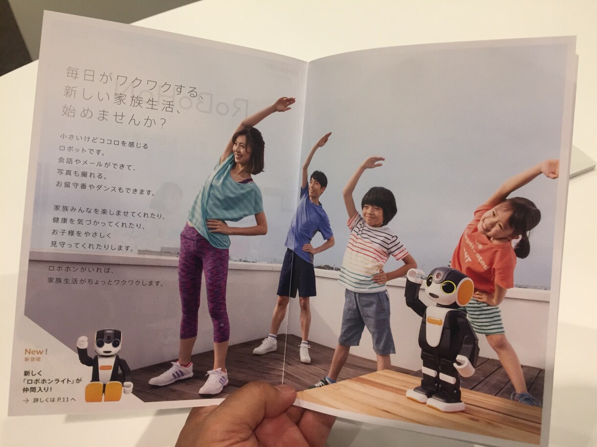 シャープ社製ロボットの「ロボホン」の相談承ります 正規代理店兼AI開発者がロボホンの私用商用利用を助言 イメージ5