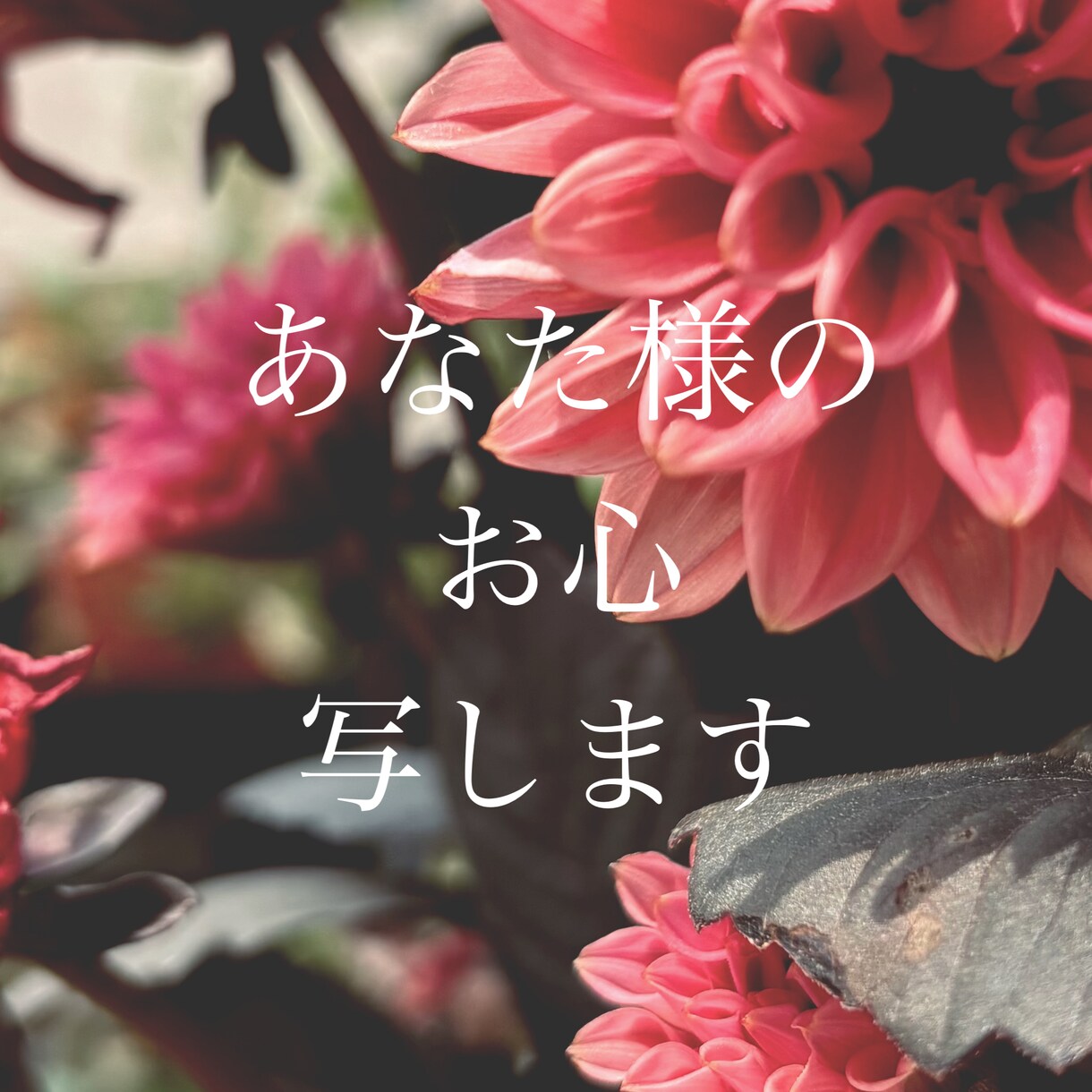 あなた様のお心お聞きします 何でもお話しください。そっと寄り添います イメージ1