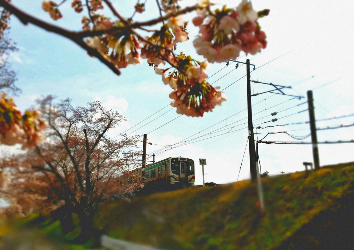 写真・画像の加工や補正を行います 素敵な写真をオリジナリティある写真へ イメージ4