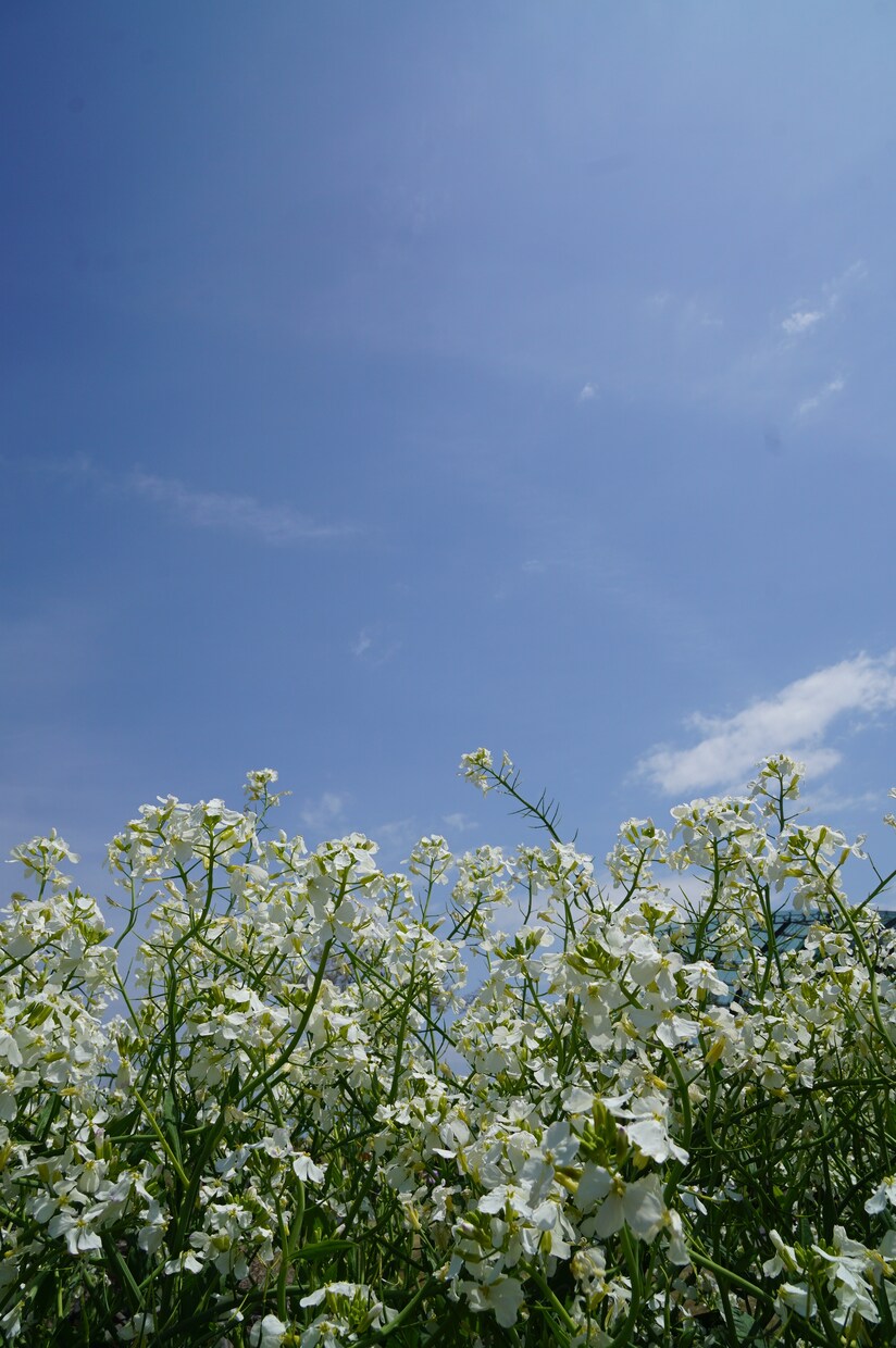 保育士資格 ♪ 効果的な勉強方法教えます 保育士資格　体験に基づく効果的な勉強の仕方 イメージ4
