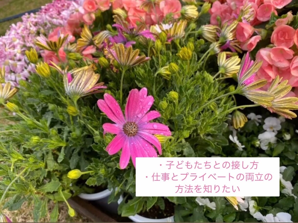 保育士さん、幼稚園教諭さんの悩み、お聴きします 教育現場だからこその悩み・愚痴話してみませんか？ イメージ3