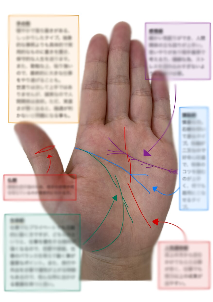 ワンコイン！！手相鑑定します あなたの性格・特性を手相で鑑定します٩( ᐛ )و イメージ3