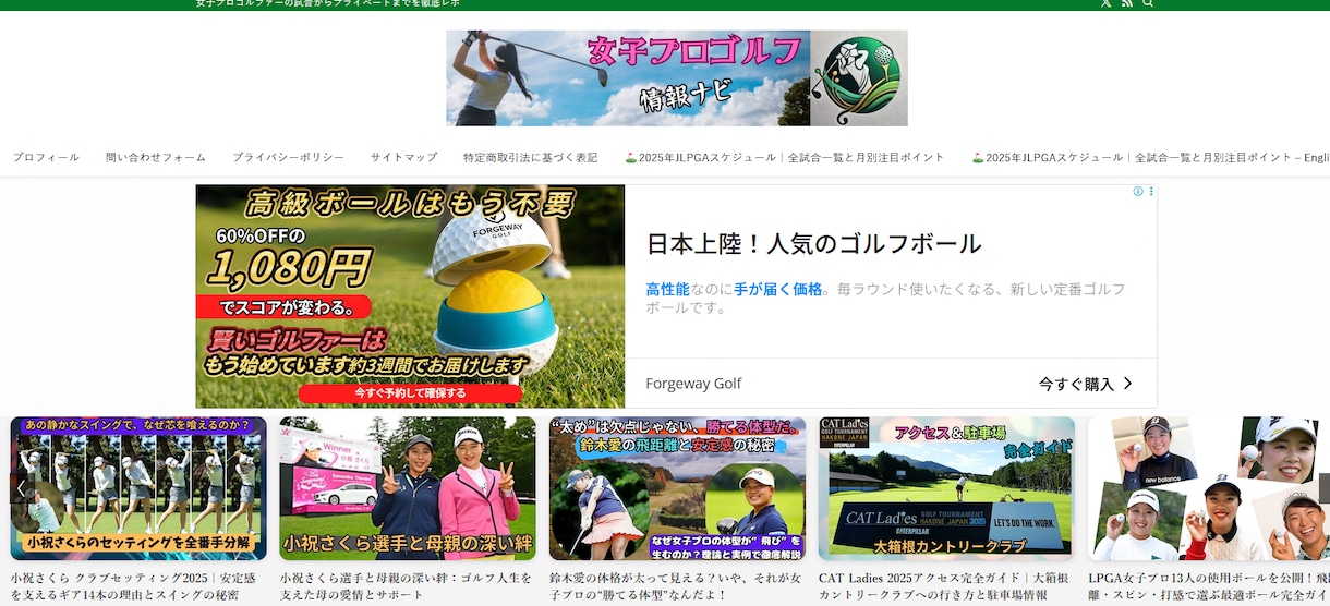 特別価格　SWELL初期設定サイト構築代行します ブログ・メディア向け！見やすいトップページを丸ごと構築します イメージ3