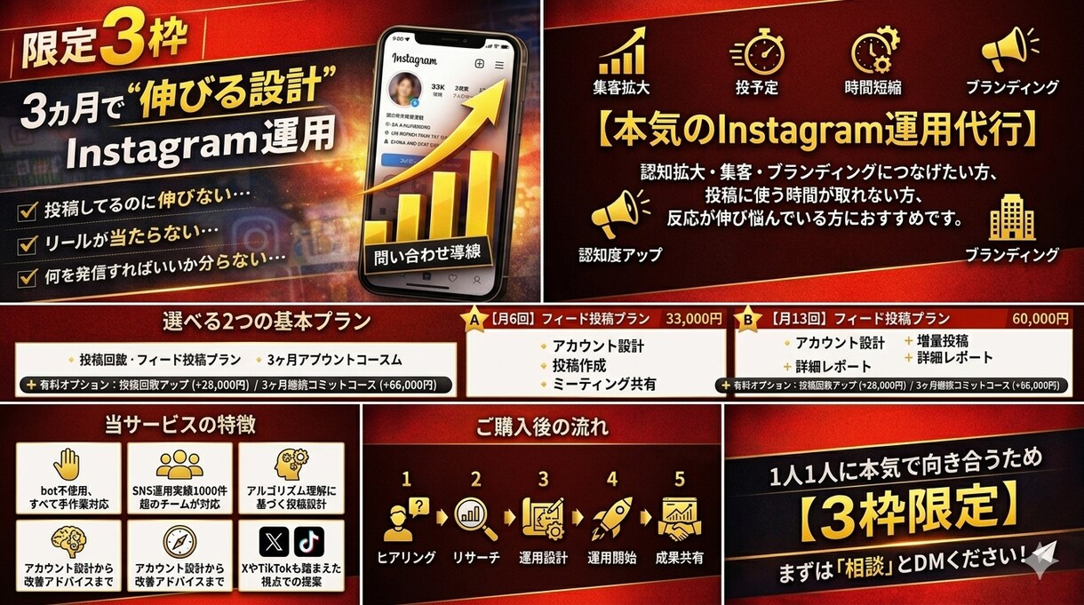 限定３枠！本気のInstagram運用をします インスタ運用お任せ！定期的な打ち合わせ・データ共有もします！ イメージ1