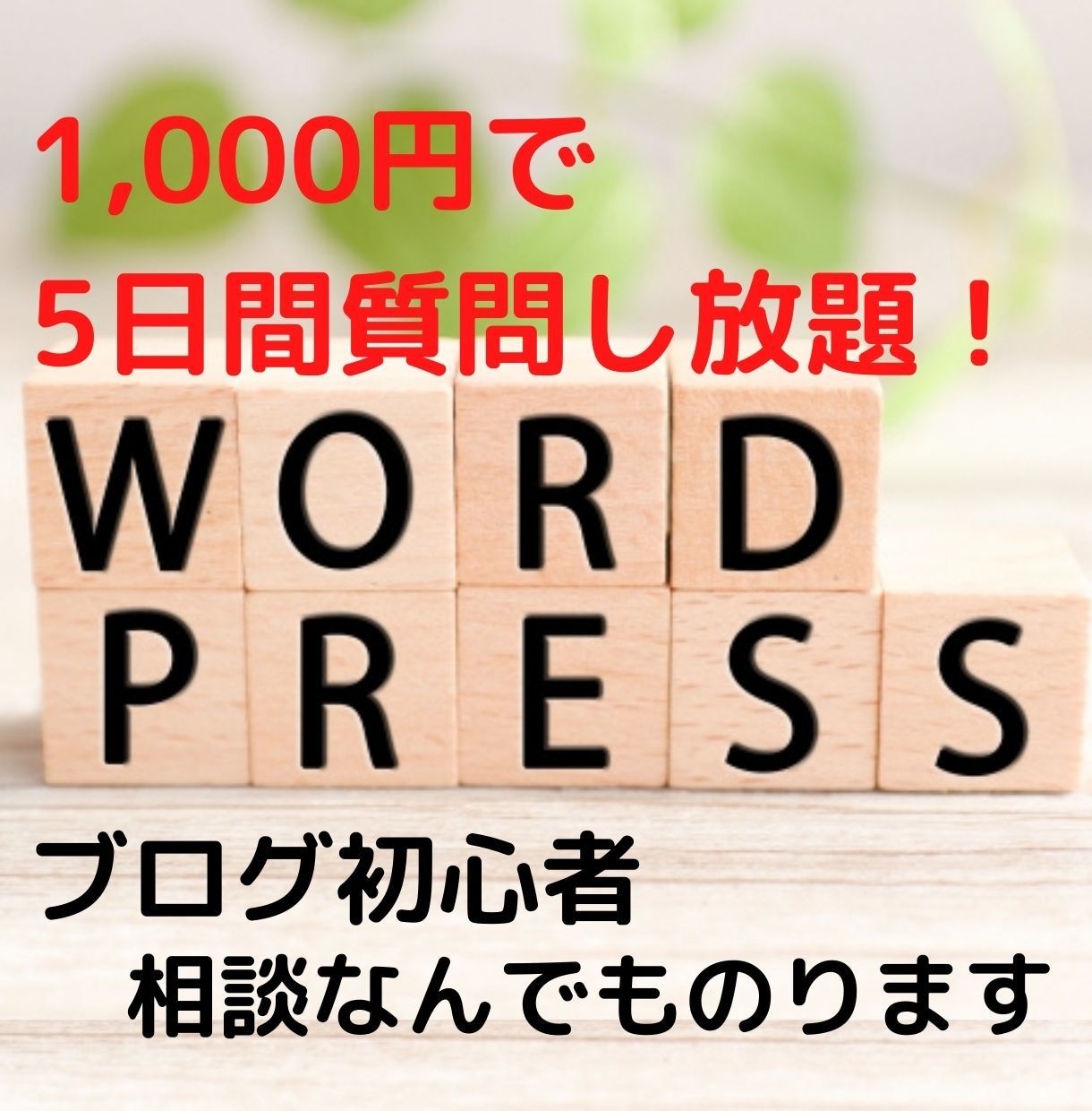ブログ初心者の相談に乗ります アドセンス、収益化、SEOなどのコツを教えます！ イメージ1