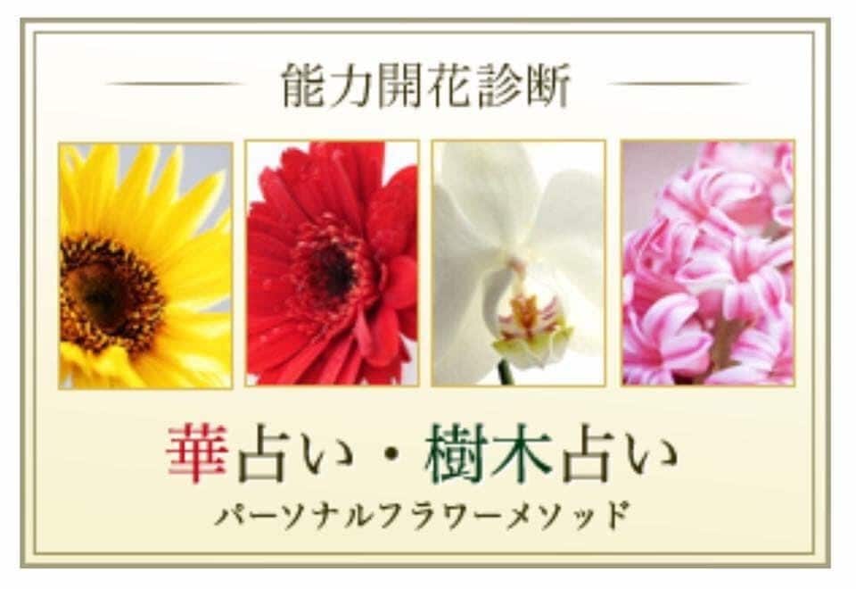 華占い・樹木占いであなたの魅力と魅せ方を伝えます 12種類のお華・樹木であなたがより輝くお手伝いをします。 イメージ1