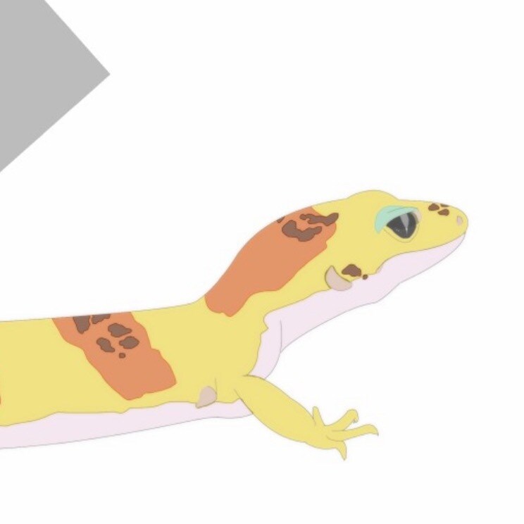 ペットのイラスト承ります 爬虫類歓迎、グッズ作成についてもご相談下さい イメージ2