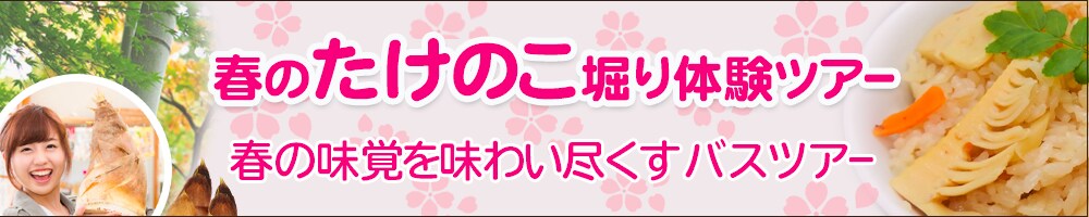 WEBデザイン、バナーデザインを作成します クリックされるバナーをデザイン イメージ1