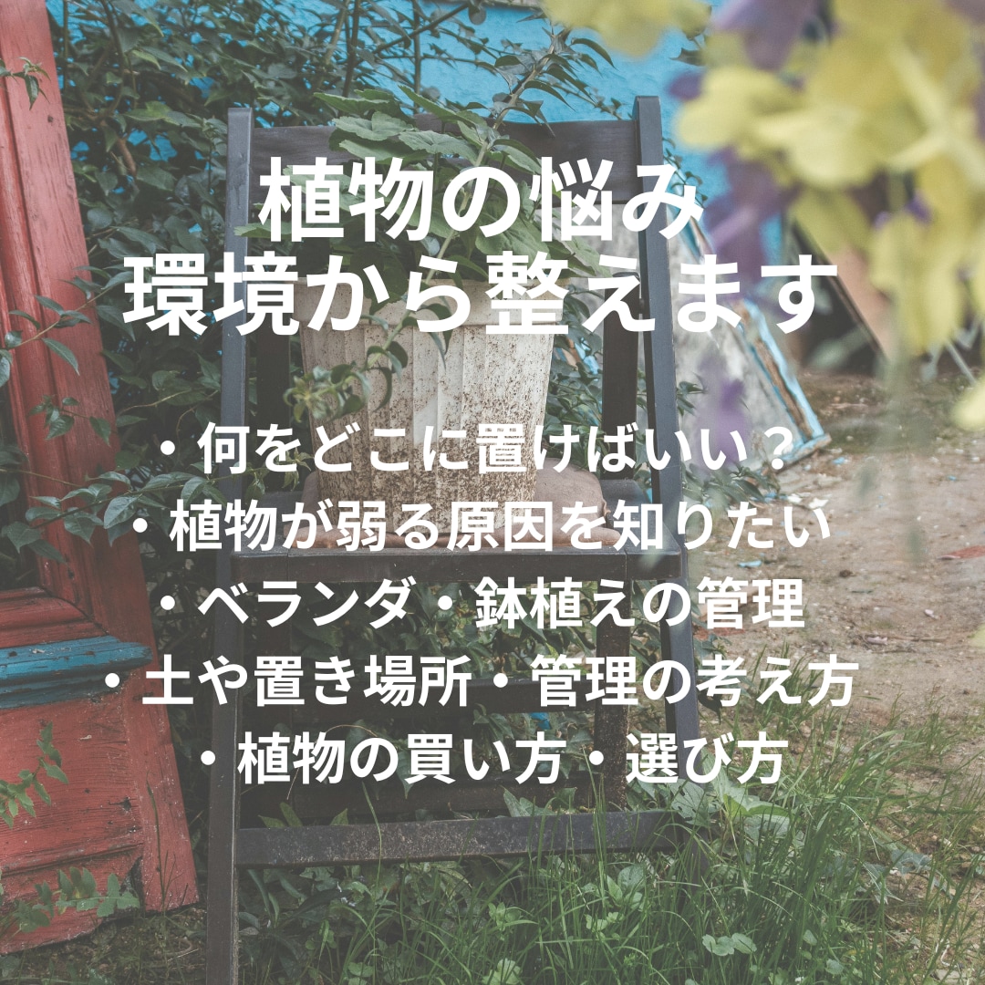 プロが植物の悩み解決します 初心者の方でも分かりやすく丁寧にアドバイスします イメージ3