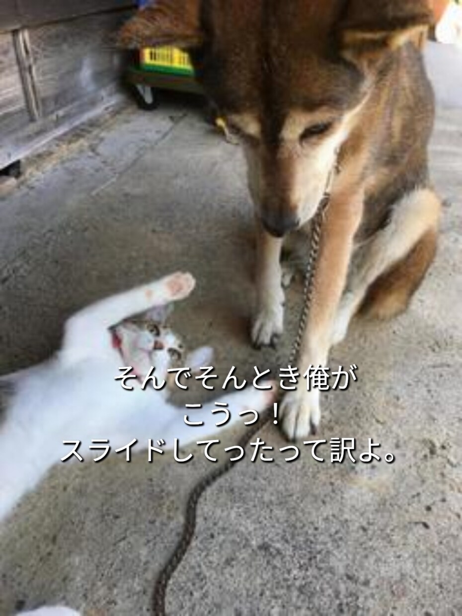 気軽に使ってね♪あなたの女友達になります 女性と話す練習や恋愛相談・雑談・愚痴・優しく受けとめます。 イメージ4