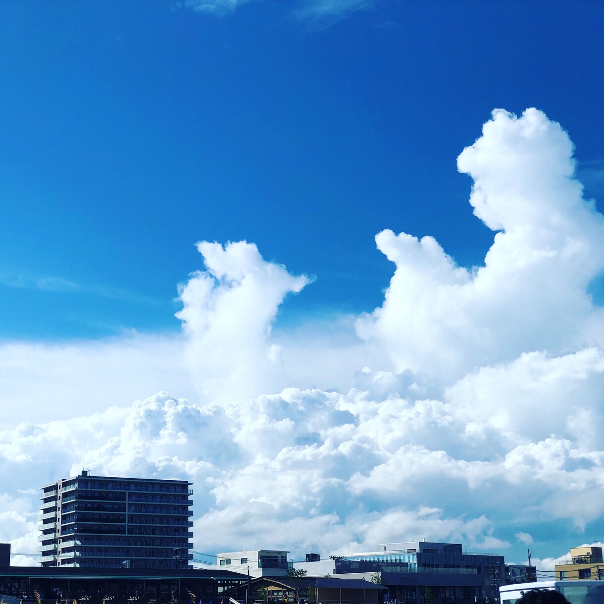 1週間の話し相手なります メッセージのやり取りです*^^*どんな話し相手でも大丈夫です イメージ1
